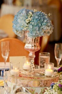 Innisbrook Golf Resort Spa Wedding Blue Diy Palm Harbor Wedding