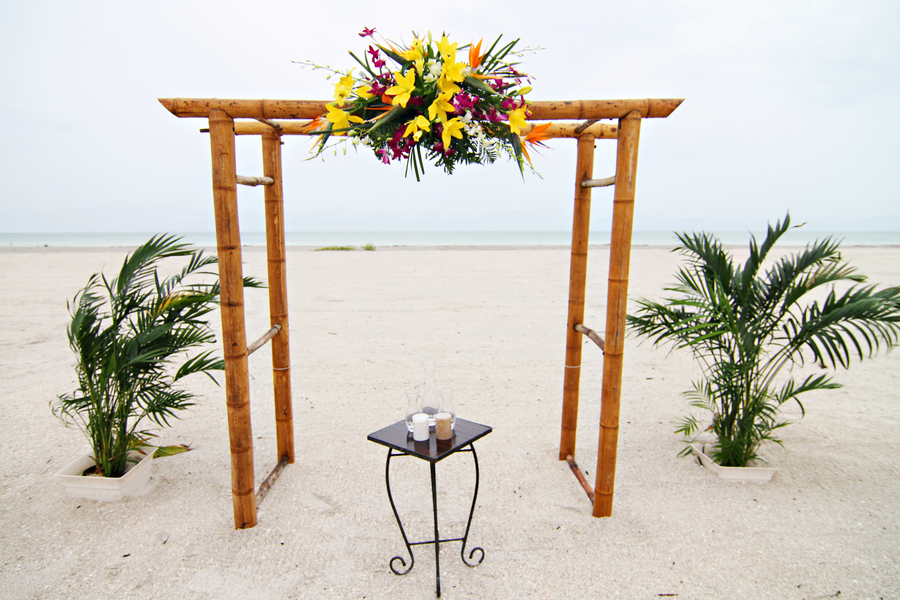 Green and Pink Clearwater Sand Key Park Wedding (11)