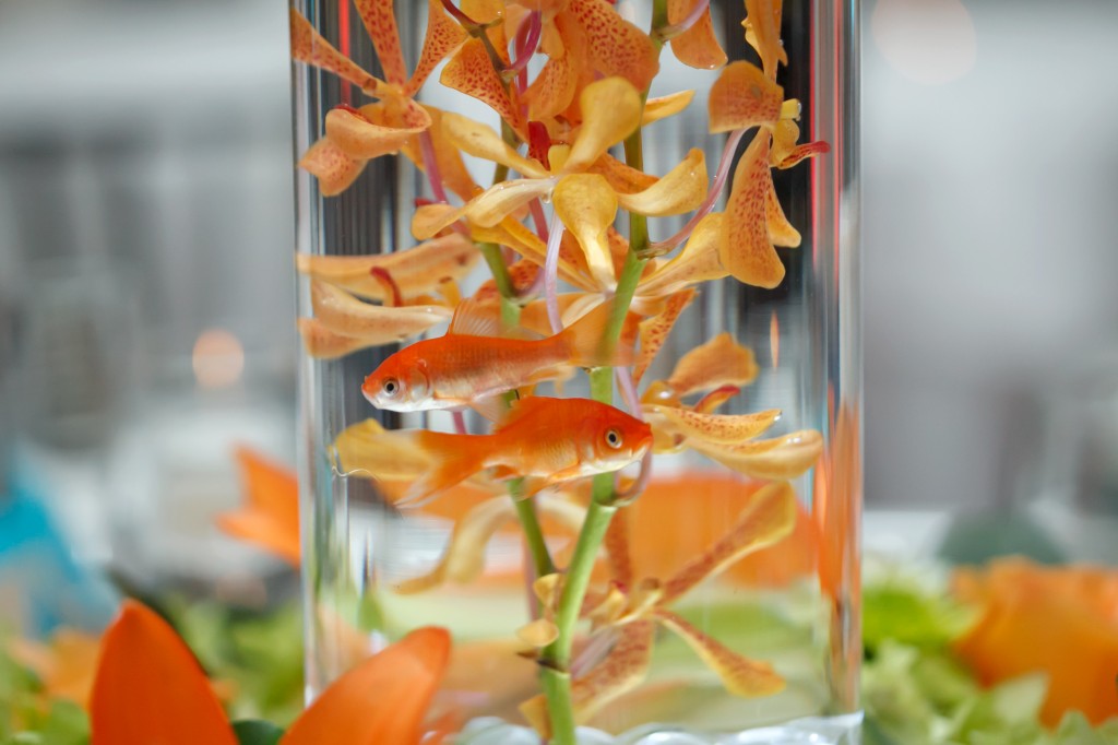 Goldfish Themed Wedding at the Renaissance Vinoy - Carrie Wildes Photography (9)