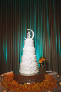 Goldfish Themed Wedding at the Renaissance Vinoy - Carrie Wildes Photography (6)