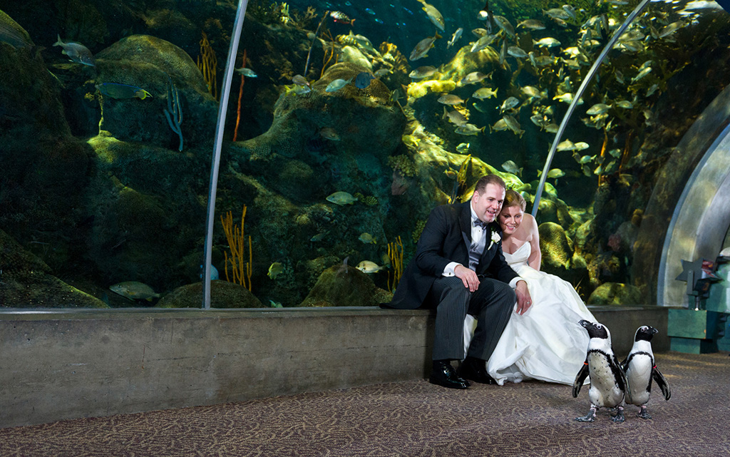 Navy & Pink Tampa Destination Wedding – The Florida Aquarium