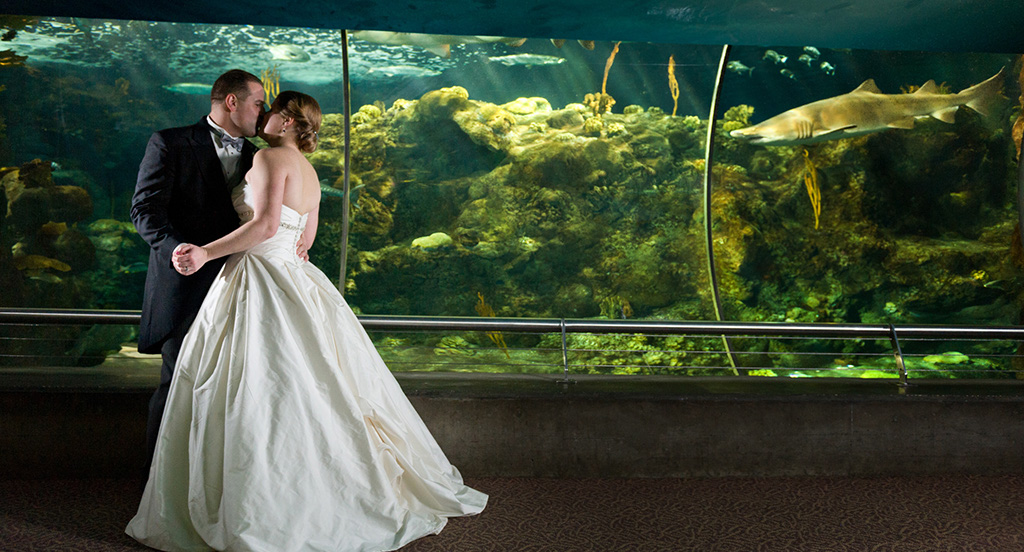 Navy & Pink Tampa Destination Wedding - The Florida Aquarium by Aaron Bornfleth Photographer (19)