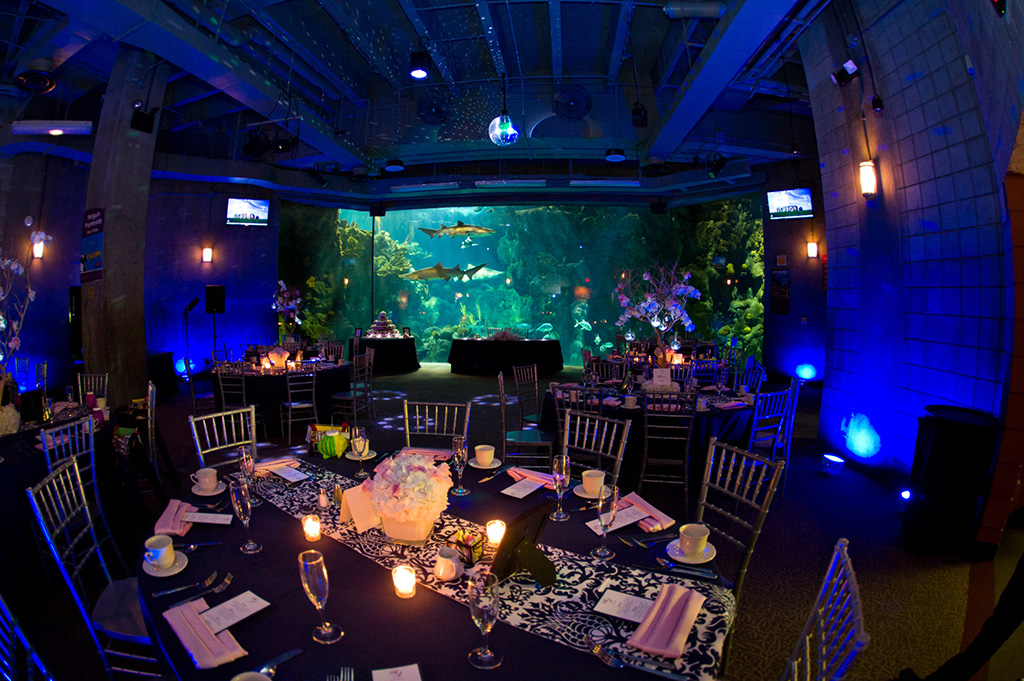 Navy & Pink Tampa Destination Wedding - The Florida Aquarium by Aaron Bornfleth Photographer (24)