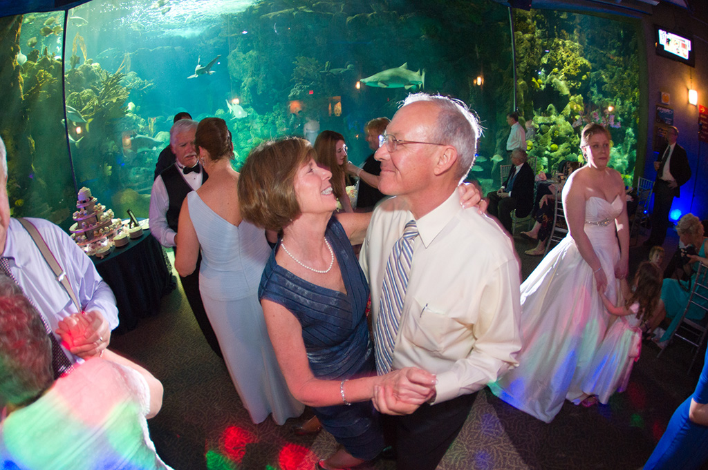 Navy & Pink Tampa Destination Wedding - The Florida Aquarium by Aaron Bornfleth Photographer (32)