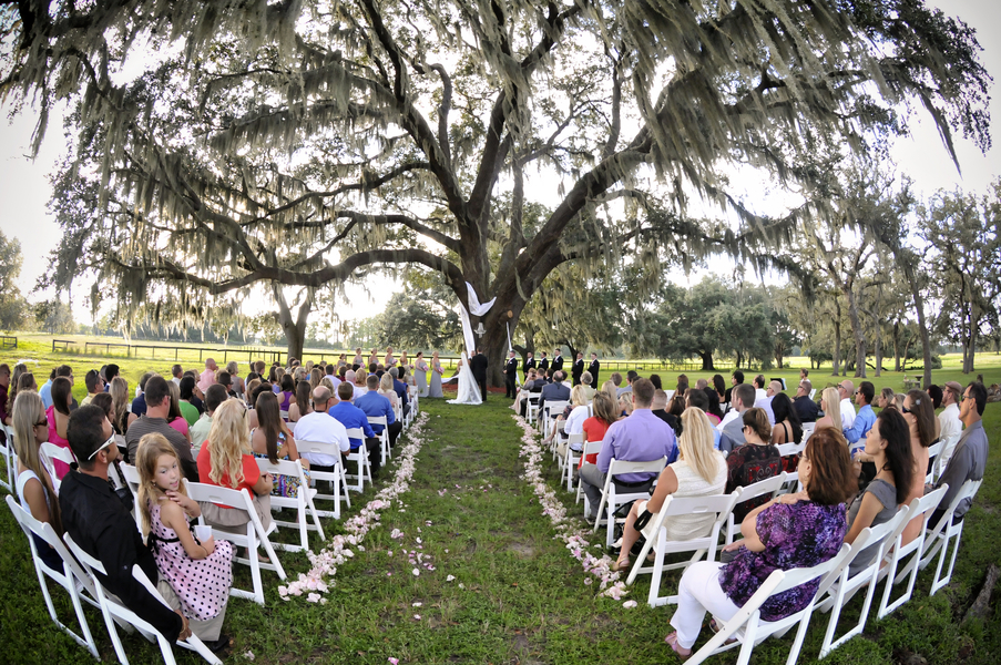 Silver and Pink Country Dade City Wedding - Barrington Hill Farm - CV Fuller Photography (9)