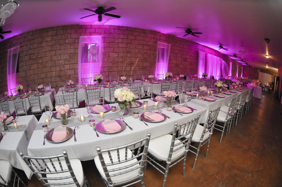 Silver and Pink Country Dade City Wedding - Barrington Hill Farm - CV Fuller Photography (18)