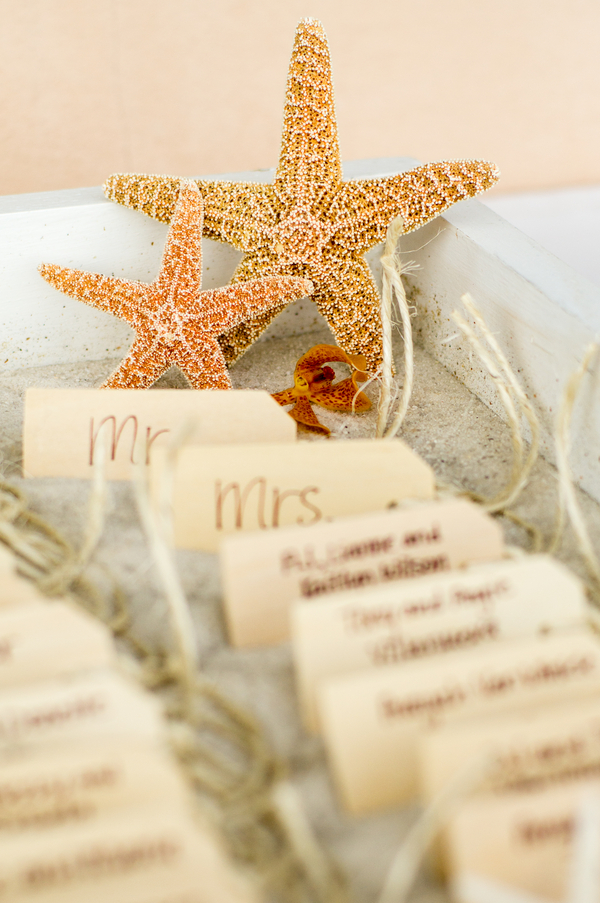 Brown & Coral Seaside Rustic Clearwater Beach Wedding - Ashfall Mixed Media (28)