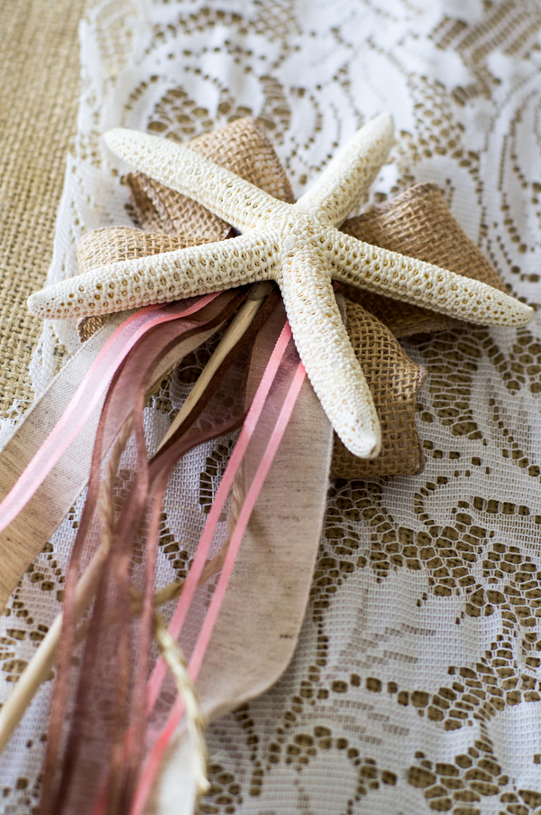 Brown & Coral Seaside Rustic Clearwater Beach Wedding - Ashfall Mixed Media (34)