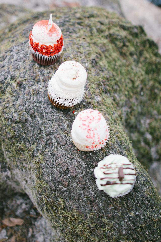 Vintage Rustic Hillsborough State Park Engagement Session - Tampa Wedding Photographer Sophan Theam Photography (9)