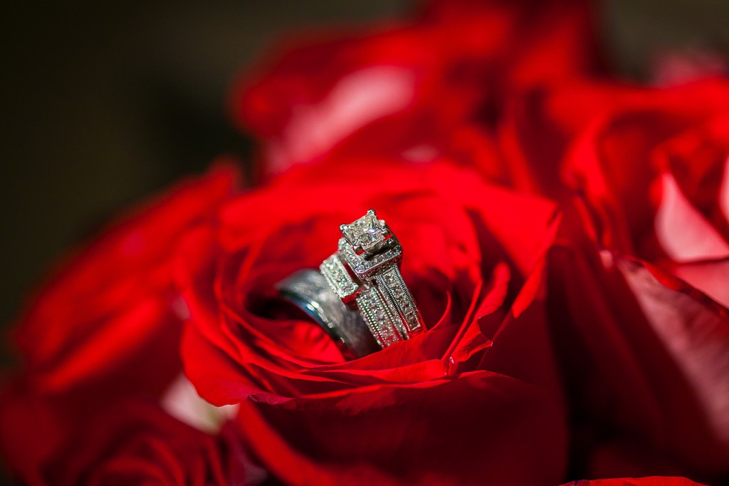 Elegant Red Tampa Wedding - A La Carte Pavilion - Tampa Wedding Photographer Jeff Mason Photography (22)