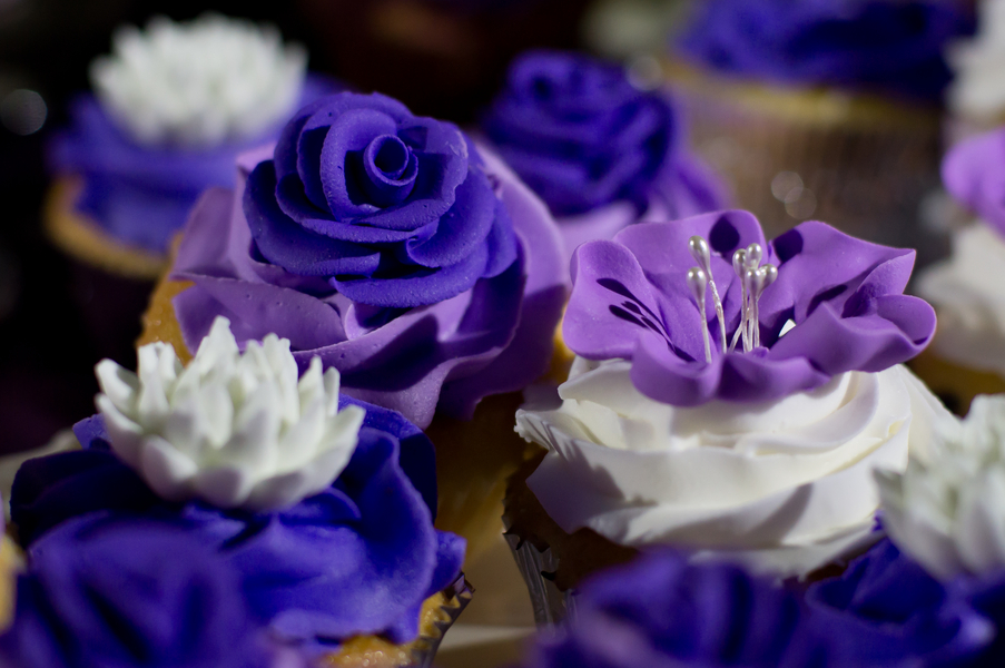 Purple & Grey Stunning Backyard Largo Wedding - Tampa Wedding Photographer Ashfall Mixed Media (28)