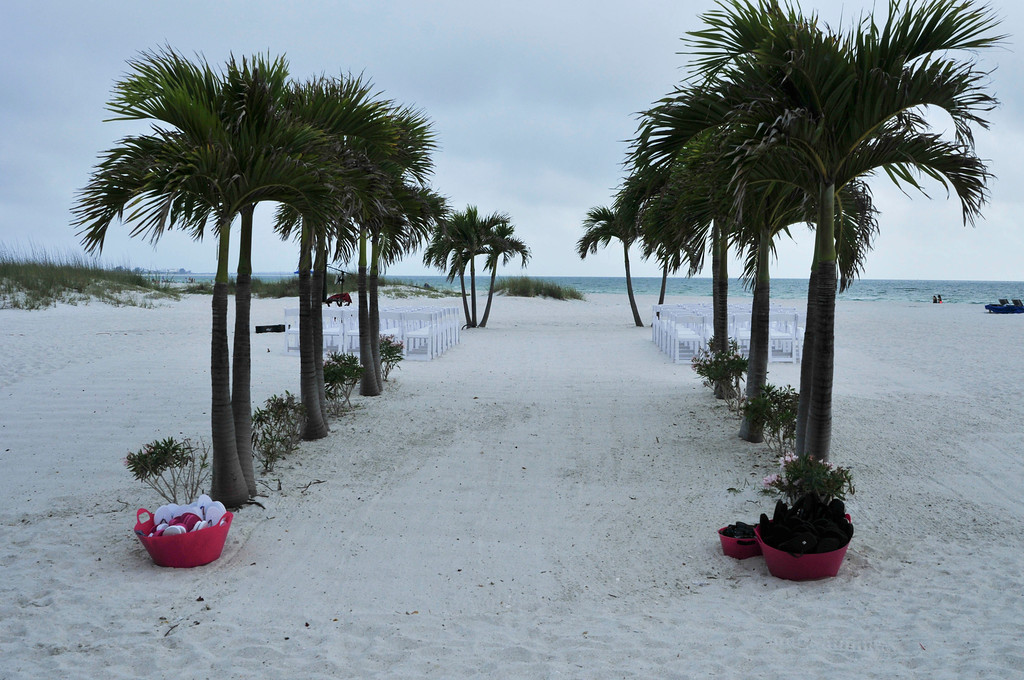 Modern South Beach Style Fuchsia & Royal Blue St. Pete Beach, FL Wedding - St. Petersburg Wedding Planner Kimberly Hensley Events (18)