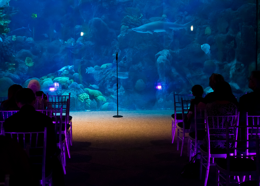 Damask, Purple & Green Florida Aquarium Wedding - Tampa Wedding Photographer Kristen Marie Photography (9)