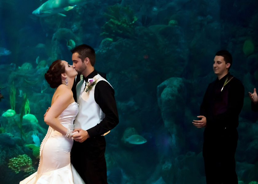 Damask, Purple & Green Florida Aquarium Wedding - Tampa Wedding Photographer Kristen Marie Photography (11)