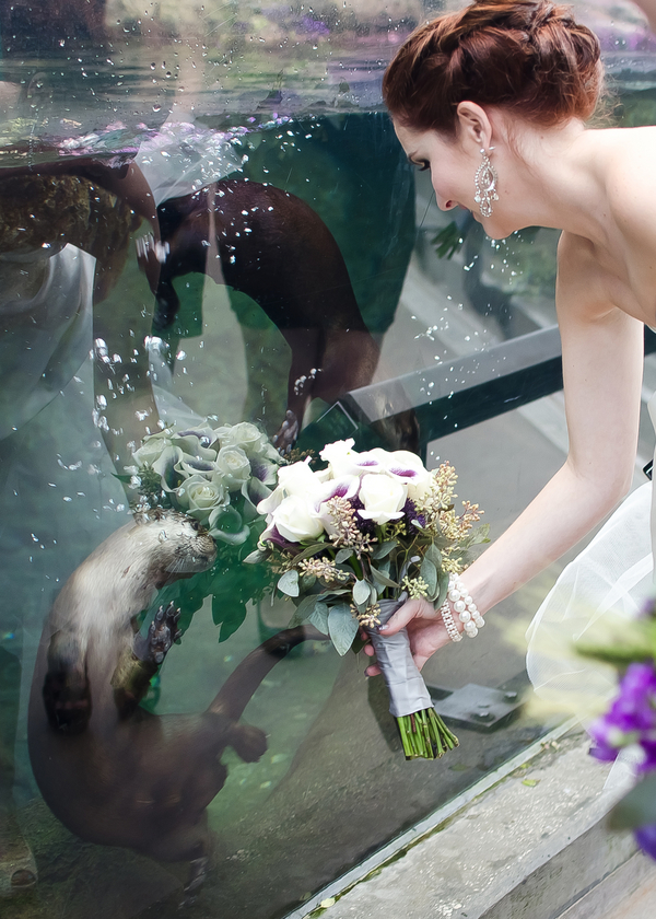 Damask, Purple & Green Florida Aquarium Wedding - Tampa Wedding Photographer Kristen Marie Photography (13)