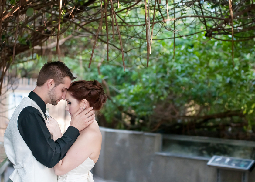 Damask, Purple & Green Florida Aquarium Wedding - Tampa Wedding Photographer Kristen Marie Photography (14)