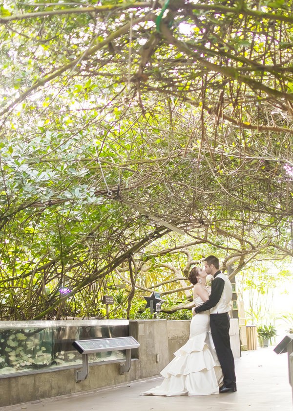 Damask, Purple & Green Florida Aquarium Wedding - Tampa Wedding Photographer Kristen Marie Photography (15)