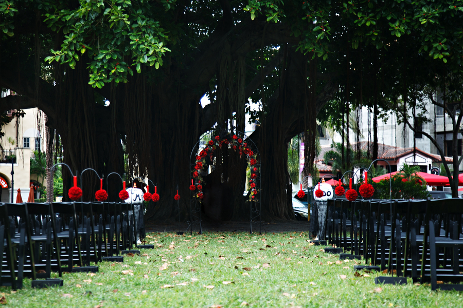 St. Pete Museum of Fine Arts Black & Red Halloween Themed Wedding - St. Petersburg, FL Wedding Photographer Carrie Wildes Photography (17)