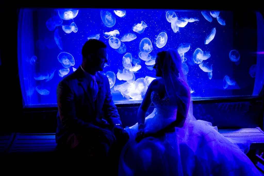 Lime Green & Peacock Blue Tropical Paradise Florida Aquarium Wedding (19)