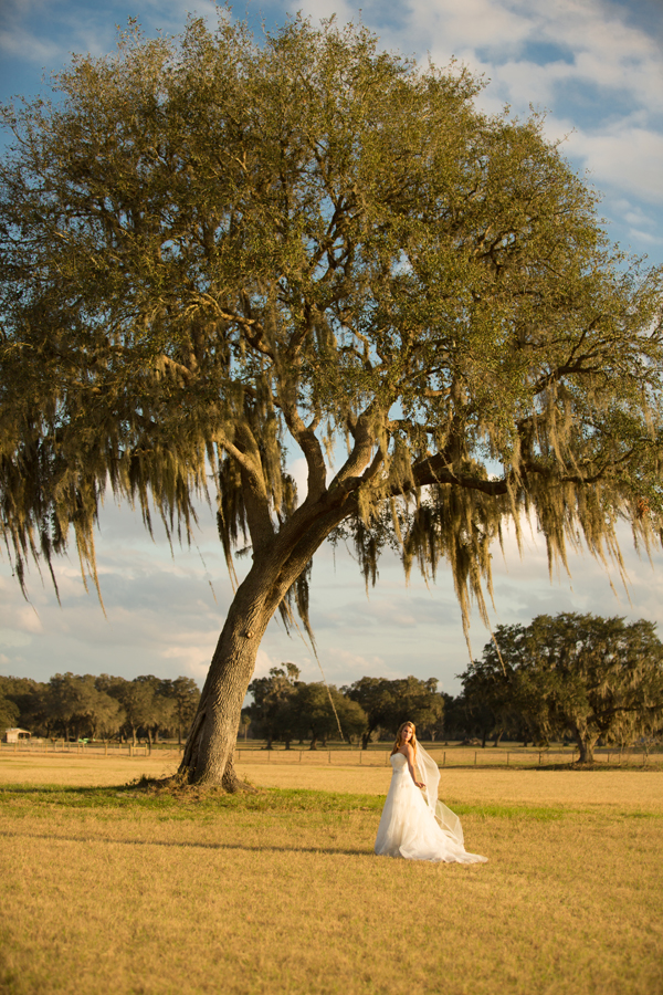 Purple and Cream Country Chic Brooksville Wedding - Brooksville Wedding Photographer Leah Jean Photography (25)