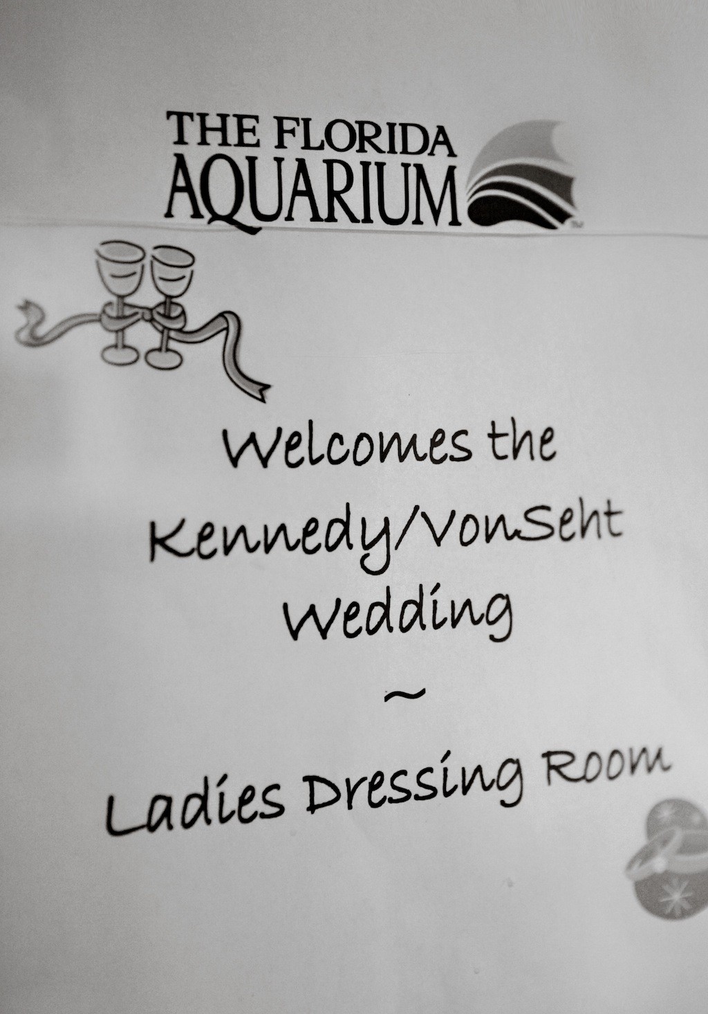 Pink & Grey Modern Florida Aquarium Destination Wedding (1)