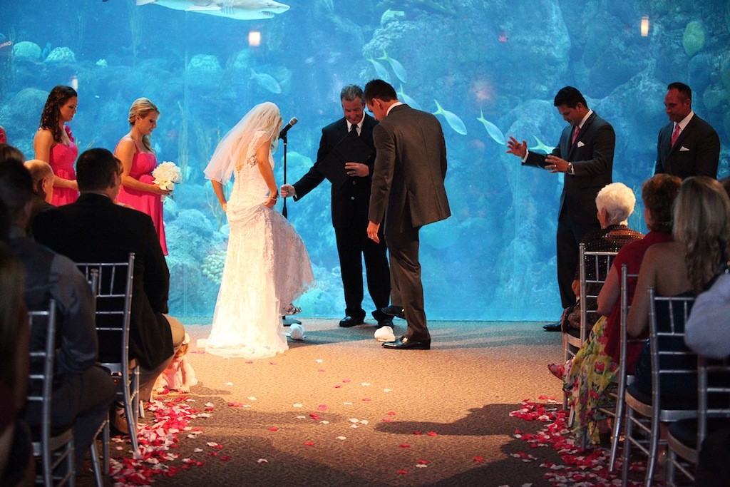 Pink & Grey Modern Florida Aquarium Destination Wedding (11)