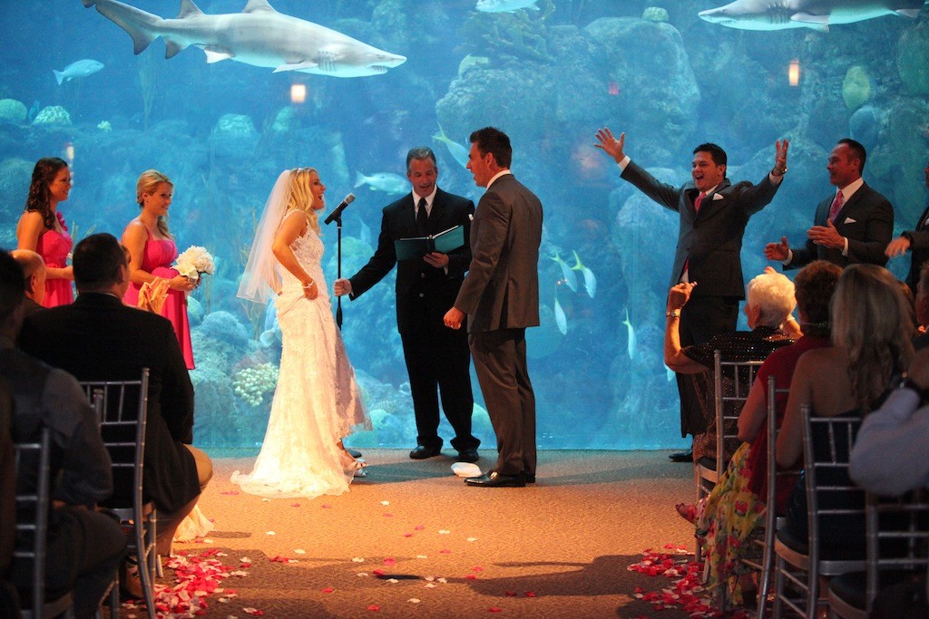 Pink & Grey Modern Florida Aquarium Destination Wedding (12)