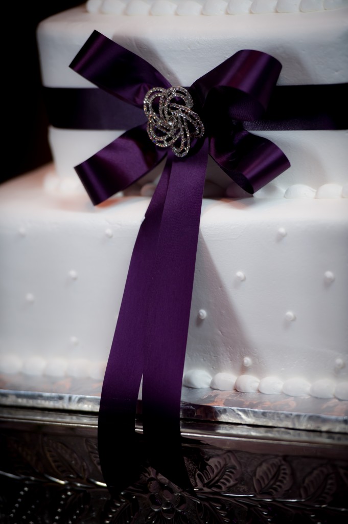 Purple, White & Silver Jewish A La Carte Wedding - Tampa Wedding Photographer Richard Harrell Photography (37)