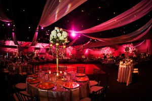 Blush, Ivory, and Champagne Greek Wedding at A La Carte Pavilion - Tampa Wedding Photographer Limelight Photography (40)