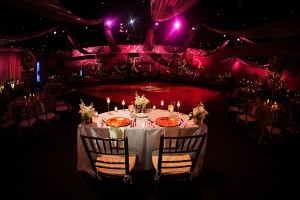 Blush, Ivory, and Champagne Greek Wedding at A La Carte Pavilion - Tampa Wedding Photographer Limelight Photography (46)