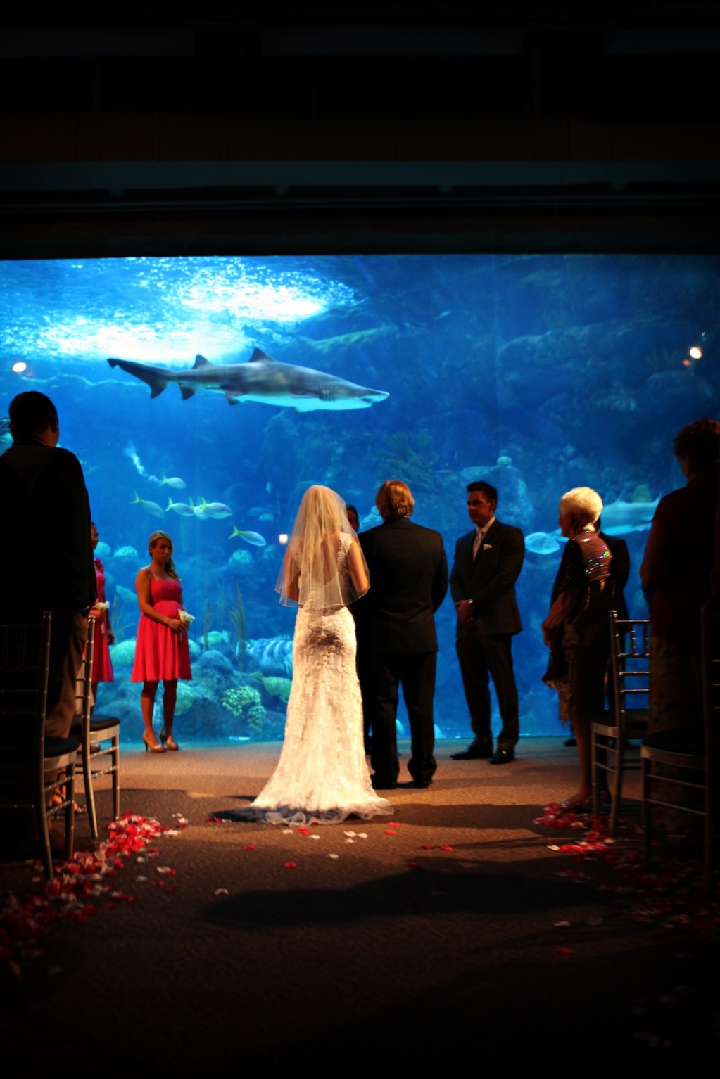 Pink & Grey Modern Florida Aquarium Destination Wedding (9)
