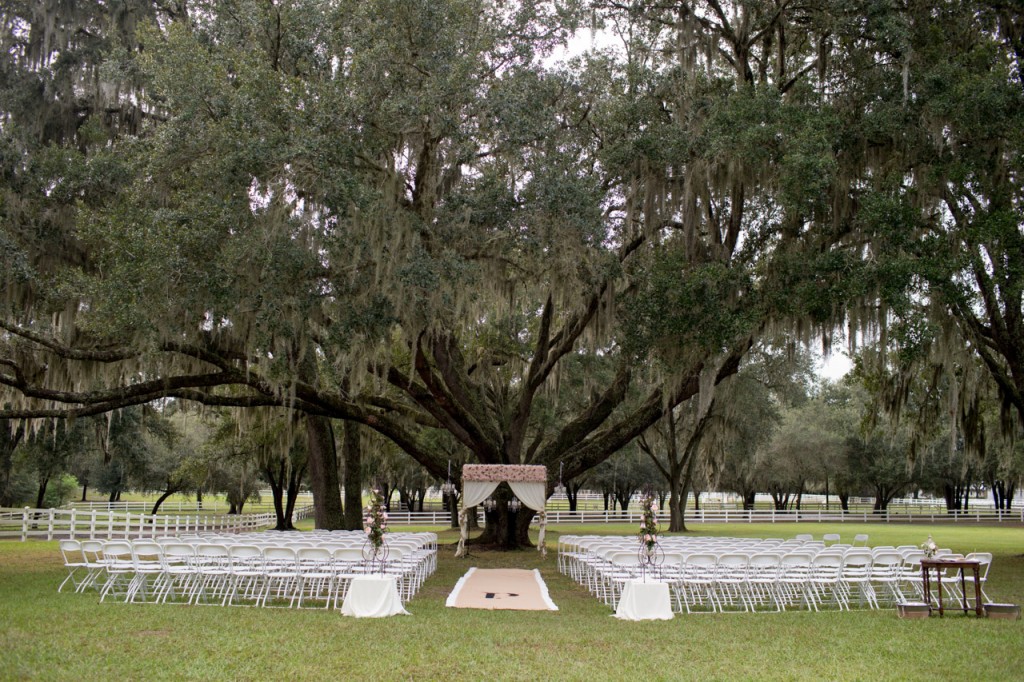 Gold, Ivory & Pink Southern Chic Lange Farm Wedding - Jeff Mason Photography (10)