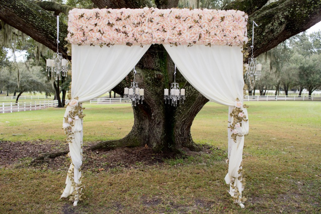 Gold, Ivory & Pink Southern Chic Lange Farm Wedding - Jeff Mason Photography (11)