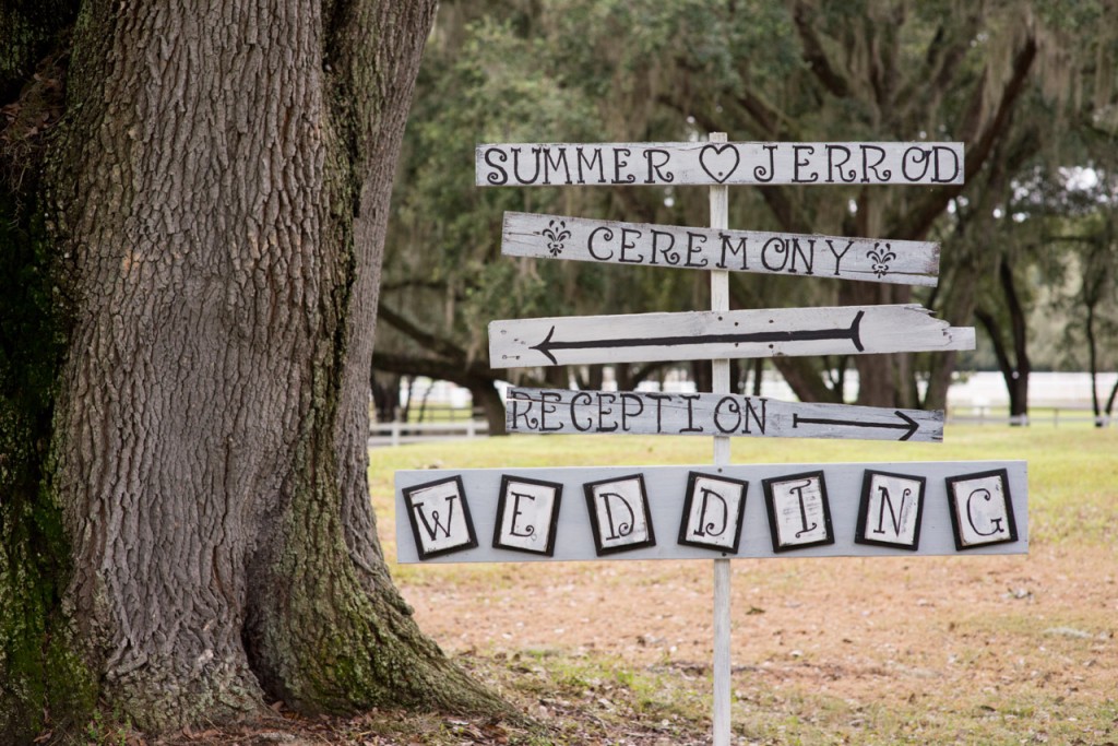 Gold, Ivory & Pink Southern Chic Lange Farm Wedding - Jeff Mason Photography (12)