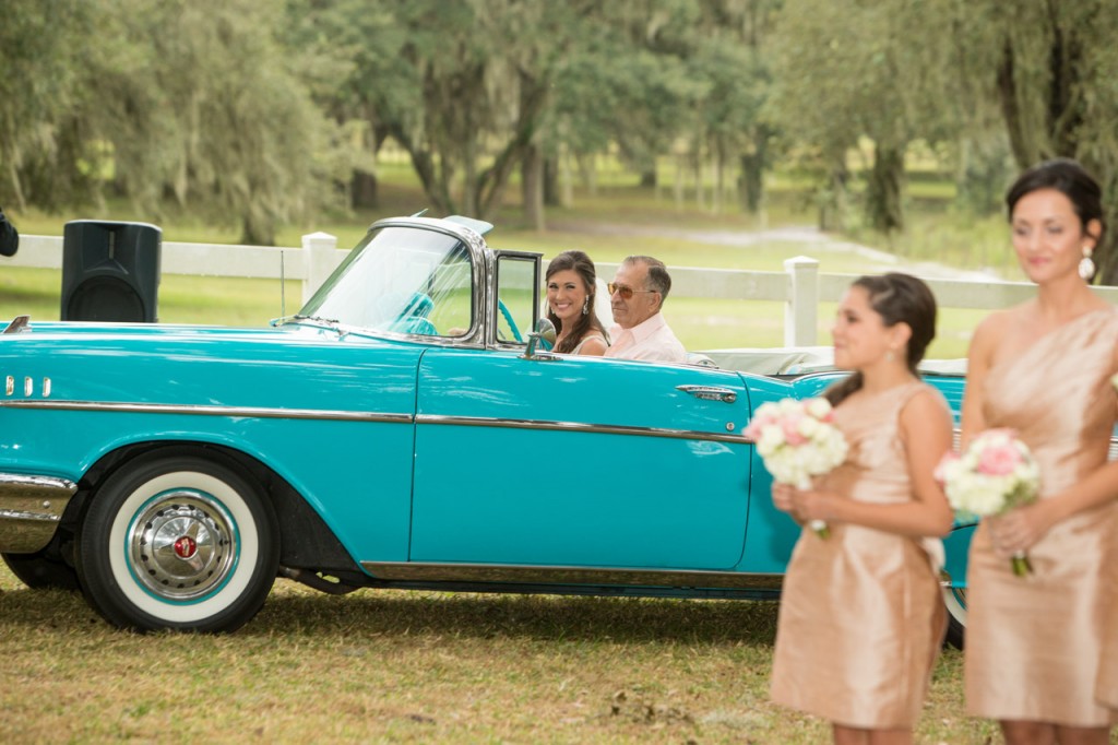 Gold, Ivory & Pink Southern Chic Lange Farm Wedding - Jeff Mason Photography (15)