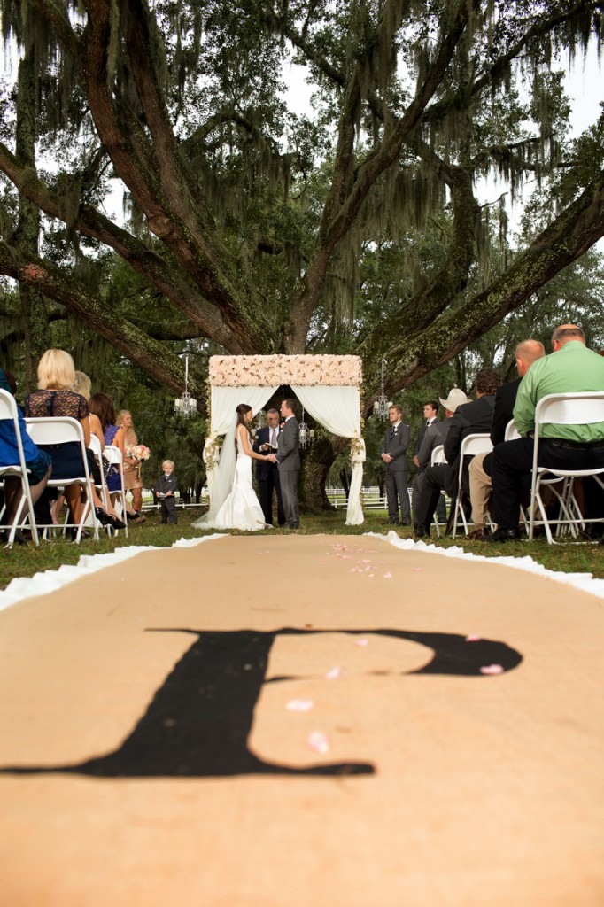 Gold, Ivory & Pink Southern Chic Lange Farm Wedding - Jeff Mason Photography (17)