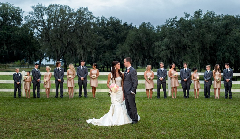 Gold, Ivory & Pink Southern Chic Lange Farm Wedding - Jeff Mason Photography (19)