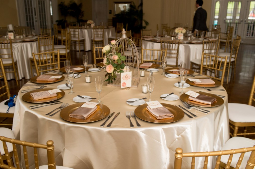 Gold, Ivory & Pink Southern Chic Lange Farm Wedding - Jeff Mason Photography (21)