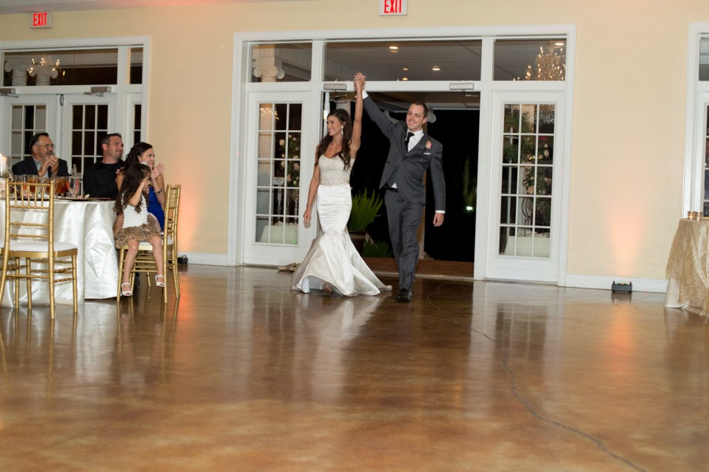 Gold, Ivory & Pink Southern Chic Lange Farm Wedding - Jeff Mason Photography (25)