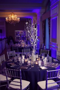 Navy Blue, Silver & White St. Pete Beach Wedding - Don CeSar - St. Petersburg, FL Wedding Photographer Reign 7 Studios (35)