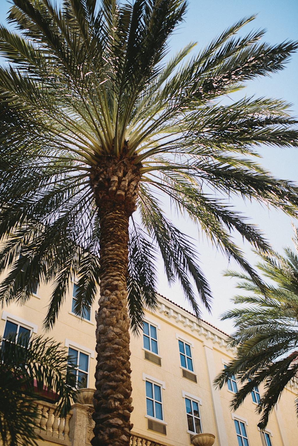 NOVA 535 Wedding in Downtown, St. Petersburg, FL with St. Pete wedding photographer Divine Light Photography (1)