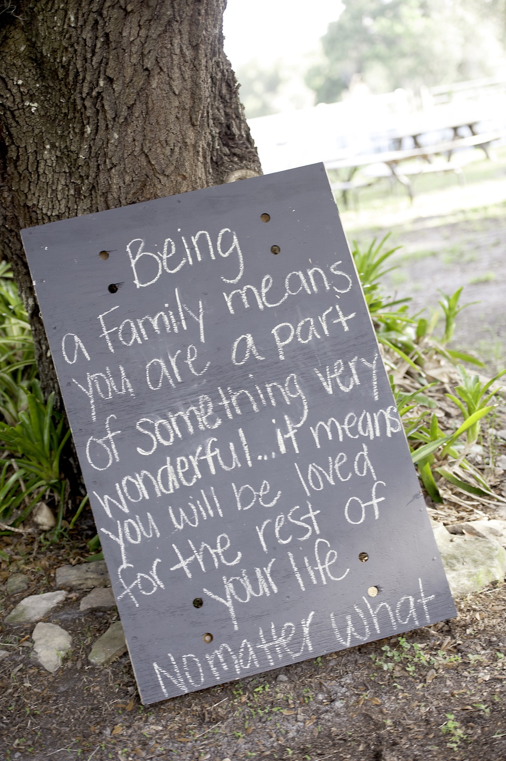 Rocking H Ranch Wedding - Green Rustic Wedding in Lakeland, FL - Tampa Bay Wedding Photographer Pink Lily Photo (9)