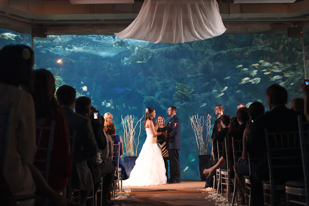 Florida Aquarium Wedding - Downtown Tampa Wedding Venue - Navy Blue & Pink Nautical Wedding (24)