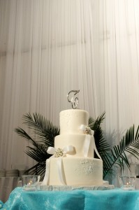 Wedding Venues in St Petersburg, FL - Tradewinds Resort - St. Pete Wedding Photographer Livingston Galleries (31)