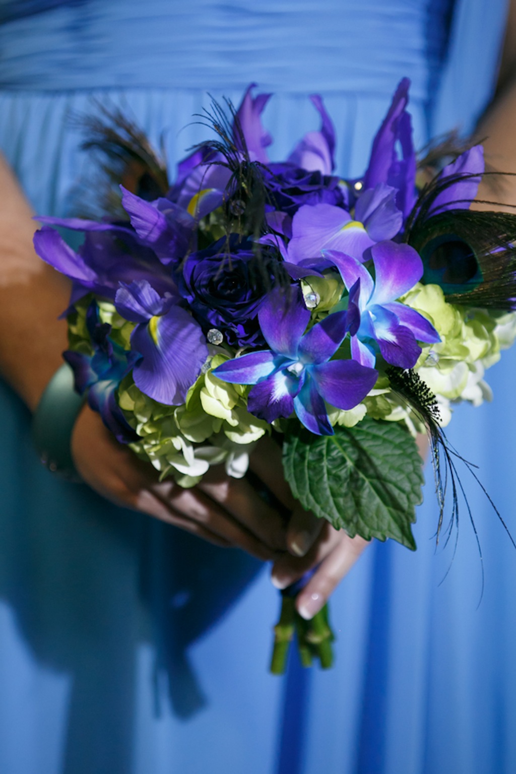 Gasparilla Inspired Peacock Wedding at the Florida Aquarium by Carrie Wildes Photography (10)
