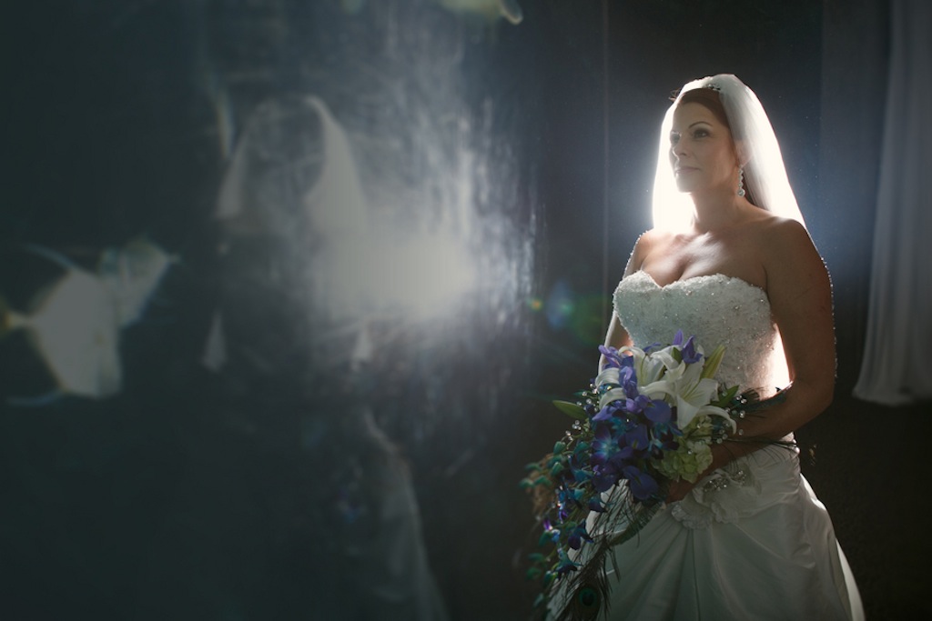 Gasparilla Inspired Peacock Wedding at the Florida Aquarium by Carrie Wildes Photography (11)