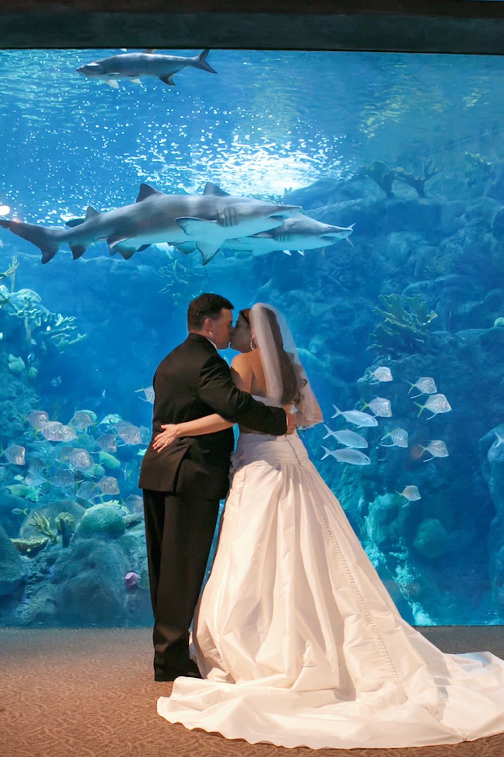 Gasparilla Inspired Peacock Wedding at the Florida Aquarium by Carrie Wildes Photography (17)