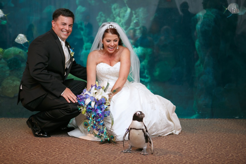 Gasparilla Inspired Peacock Wedding at the Florida Aquarium by Carrie Wildes Photography (18)