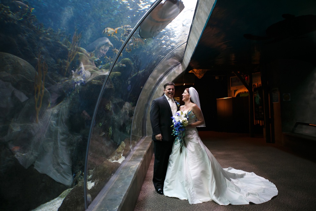 Gasparilla Inspired Peacock Wedding at the Florida Aquarium by Carrie Wildes Photography (19)