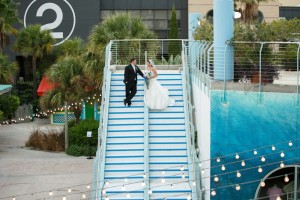 Gasparilla Inspired Peacock Wedding at the Florida Aquarium by Carrie Wildes Photography (23)